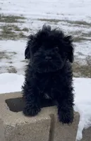 processed/4930b394-4d8a-4724-876d-f5226b5911d6/listing/0802de79-9938-4948-afbc-507f85639c75/55dfb0a1-5576-423c-b21e-3e09171e494d