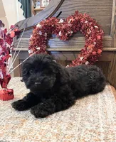 processed/4930b394-4d8a-4724-876d-f5226b5911d6/listing/0802de79-9938-4948-afbc-507f85639c75/90c6ef34-efde-46f7-bf2c-a481f645eb0c