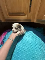 processed/4938dfc1-0909-4f63-a9fe-c8df83da94c0/listing/6328f824-4488-4882-93c1-522f4dd25f1f/1e06b7a4-8dab-46ea-838b-44550f8d16ab