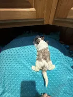 processed/4938dfc1-0909-4f63-a9fe-c8df83da94c0/listing/6328f824-4488-4882-93c1-522f4dd25f1f/4626a79e-c0d1-4828-a2c1-6490d06de151