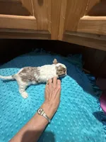 processed/4938dfc1-0909-4f63-a9fe-c8df83da94c0/listing/6328f824-4488-4882-93c1-522f4dd25f1f/7daf2611-07ac-4508-8766-33655cae3d9f