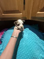 processed/4938dfc1-0909-4f63-a9fe-c8df83da94c0/listing/6328f824-4488-4882-93c1-522f4dd25f1f/abb5ff82-13f8-492a-8341-5e7f34681348