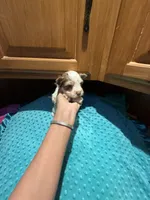 processed/4938dfc1-0909-4f63-a9fe-c8df83da94c0/listing/6328f824-4488-4882-93c1-522f4dd25f1f/e5f0c348-e012-46f4-bdde-9d021ee3b133