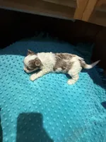 processed/4938dfc1-0909-4f63-a9fe-c8df83da94c0/listing/6328f824-4488-4882-93c1-522f4dd25f1f/fcd11de3-3c74-42be-acaa-64c6cb1188c2