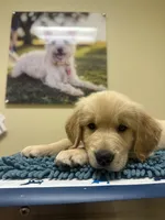 processed/493ccc6b-a5b4-4c61-9039-72d96bd5a942/listing/3b3782ab-d030-4920-8007-93f8b3a0edf7/3c917892-b3c8-4fc4-85d0-3aae98df97bd