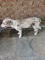 processed/493ec2c9-0e0a-4a20-9081-5ce0587fbdf9/listing/1e2bbb21-89ba-416d-bf5b-450e05f3203d/01ce664a-f54e-49a8-8f5b-456856999310