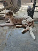 processed/493ec2c9-0e0a-4a20-9081-5ce0587fbdf9/listing/1e2bbb21-89ba-416d-bf5b-450e05f3203d/f7c602d3-f9e9-4d35-96db-067a42316741