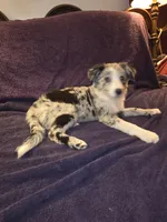 processed/493ec2c9-0e0a-4a20-9081-5ce0587fbdf9/listing/3f779da2-eb9c-47d0-a349-f415df957220/65a4a3d3-742a-4b7c-9357-774f2d550052