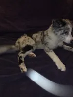 processed/493ec2c9-0e0a-4a20-9081-5ce0587fbdf9/listing/3f779da2-eb9c-47d0-a349-f415df957220/7057e4f2-704f-4fdf-889f-1e77f48b56af