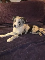 processed/493ec2c9-0e0a-4a20-9081-5ce0587fbdf9/listing/3f779da2-eb9c-47d0-a349-f415df957220/861182c5-d3d5-4611-bfe1-0c1d9493d60e