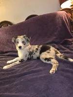 processed/493ec2c9-0e0a-4a20-9081-5ce0587fbdf9/listing/3f779da2-eb9c-47d0-a349-f415df957220/a211d5f6-acd8-4a0f-b947-70551c780ef6