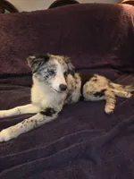 processed/493ec2c9-0e0a-4a20-9081-5ce0587fbdf9/listing/3f779da2-eb9c-47d0-a349-f415df957220/fb7a75af-4995-4bcb-8b0a-52e315ce9d01