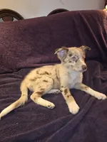 processed/493ec2c9-0e0a-4a20-9081-5ce0587fbdf9/listing/64887ca9-c30a-4972-9332-ced9854c8515/15601f86-7687-468f-8da6-dd49759f722e