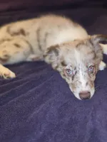 processed/493ec2c9-0e0a-4a20-9081-5ce0587fbdf9/listing/64887ca9-c30a-4972-9332-ced9854c8515/26b76c7d-ef49-41eb-b939-f0782ecf8cf0