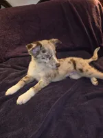 processed/493ec2c9-0e0a-4a20-9081-5ce0587fbdf9/listing/64887ca9-c30a-4972-9332-ced9854c8515/346c2afa-bfd6-43c9-8623-9b1f9e4cdf38