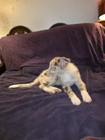 processed/493ec2c9-0e0a-4a20-9081-5ce0587fbdf9/listing/64887ca9-c30a-4972-9332-ced9854c8515/7c1343f9-ee00-47c3-8cb7-af1205cee484