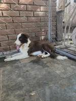 processed/493ec2c9-0e0a-4a20-9081-5ce0587fbdf9/listing/82ab5cfb-341a-4b0c-94d2-88d69deabb62/55bfc970-65dc-4566-8fea-4d0a0a13593b