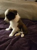 processed/493ec2c9-0e0a-4a20-9081-5ce0587fbdf9/listing/82ab5cfb-341a-4b0c-94d2-88d69deabb62/61e51546-dc97-4eb6-b593-4f7842a368ad