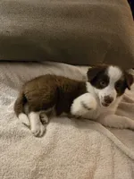 processed/493ec2c9-0e0a-4a20-9081-5ce0587fbdf9/listing/82ab5cfb-341a-4b0c-94d2-88d69deabb62/82bfcb13-9c17-44ea-aa47-725e4105c0c2