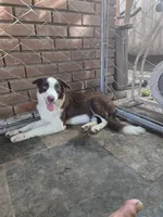 processed/493ec2c9-0e0a-4a20-9081-5ce0587fbdf9/listing/82ab5cfb-341a-4b0c-94d2-88d69deabb62/88b9ce2f-11c3-4e45-a69c-44a3d5c2e6cb