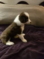 processed/493ec2c9-0e0a-4a20-9081-5ce0587fbdf9/listing/82ab5cfb-341a-4b0c-94d2-88d69deabb62/bf2aa2a9-b01f-4a62-8d58-fe878830985a