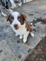 processed/493ec2c9-0e0a-4a20-9081-5ce0587fbdf9/listing/82ab5cfb-341a-4b0c-94d2-88d69deabb62/cc859410-be32-43cb-8ceb-6f0fd5005bed