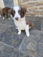 processed/493ec2c9-0e0a-4a20-9081-5ce0587fbdf9/listing/82ab5cfb-341a-4b0c-94d2-88d69deabb62/f6fa0487-4904-4c0f-9151-dd6bddb38527