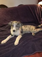 processed/493ec2c9-0e0a-4a20-9081-5ce0587fbdf9/listing/8f4f1b0c-6d73-46d9-b5a7-f24588c6a815/9e75bb17-6382-4eed-88c9-5c91ae90ea0e