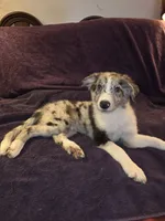 processed/493ec2c9-0e0a-4a20-9081-5ce0587fbdf9/listing/8f4f1b0c-6d73-46d9-b5a7-f24588c6a815/9ea787b9-0751-4b41-8c19-332d23993489