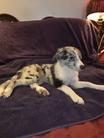 processed/493ec2c9-0e0a-4a20-9081-5ce0587fbdf9/listing/8f4f1b0c-6d73-46d9-b5a7-f24588c6a815/9f6cc6f4-db24-4fa7-83bc-20f981477d2e