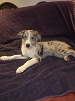 processed/493ec2c9-0e0a-4a20-9081-5ce0587fbdf9/listing/8f4f1b0c-6d73-46d9-b5a7-f24588c6a815/cd3d3759-d76a-47b2-850e-736674ce2669