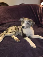 processed/493ec2c9-0e0a-4a20-9081-5ce0587fbdf9/listing/8f4f1b0c-6d73-46d9-b5a7-f24588c6a815/f541681e-e6db-4c27-a55c-f9608a07735b