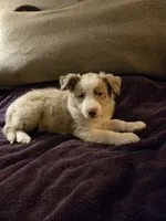 processed/493ec2c9-0e0a-4a20-9081-5ce0587fbdf9/listing/a61411d3-8eda-45a0-931f-eb0eab5c5844/296bfda8-69ce-4d43-adb0-79592fcf07d5