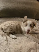 processed/493ec2c9-0e0a-4a20-9081-5ce0587fbdf9/listing/a61411d3-8eda-45a0-931f-eb0eab5c5844/2e9bf230-9f9e-42d7-b320-93421d2207d0