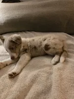 processed/493ec2c9-0e0a-4a20-9081-5ce0587fbdf9/listing/a61411d3-8eda-45a0-931f-eb0eab5c5844/5d7ee1e5-7825-4cc8-b753-d0277dad0186