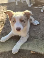 processed/493ec2c9-0e0a-4a20-9081-5ce0587fbdf9/listing/a61411d3-8eda-45a0-931f-eb0eab5c5844/72c4d846-0108-42c7-bb18-9cfe621b83b5