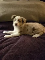 processed/493ec2c9-0e0a-4a20-9081-5ce0587fbdf9/listing/a61411d3-8eda-45a0-931f-eb0eab5c5844/a290d346-f2e1-4552-a3fd-e5420f934a0f