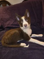 processed/493ec2c9-0e0a-4a20-9081-5ce0587fbdf9/listing/b7b920bb-5bfb-4a61-bdd7-d97f170026f1/00630a25-798d-40f3-ac6f-c6bac42fe266