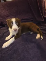 processed/493ec2c9-0e0a-4a20-9081-5ce0587fbdf9/listing/b7b920bb-5bfb-4a61-bdd7-d97f170026f1/416569b1-61b0-4ba6-b1fc-006dcaacea42