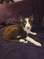 processed/493ec2c9-0e0a-4a20-9081-5ce0587fbdf9/listing/b7b920bb-5bfb-4a61-bdd7-d97f170026f1/4c9c1823-cb6a-4271-a68a-b26ece199594