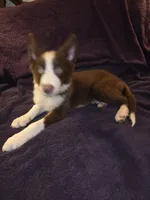 processed/493ec2c9-0e0a-4a20-9081-5ce0587fbdf9/listing/b7b920bb-5bfb-4a61-bdd7-d97f170026f1/83e80243-09b3-4ea4-bb2a-057d54b78fa9