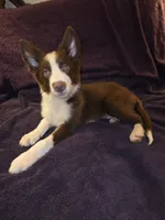 processed/493ec2c9-0e0a-4a20-9081-5ce0587fbdf9/listing/b7b920bb-5bfb-4a61-bdd7-d97f170026f1/a7ef5bd5-0407-4420-a7a3-b76f21d21c33