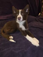 processed/493ec2c9-0e0a-4a20-9081-5ce0587fbdf9/listing/db752a19-60e6-4be1-9d2e-2074376ec411/060b6f2f-8393-409b-9502-e83c8c213b5f