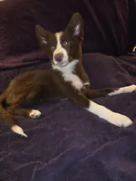 processed/493ec2c9-0e0a-4a20-9081-5ce0587fbdf9/listing/db752a19-60e6-4be1-9d2e-2074376ec411/1a5d4e8c-41da-4f1d-b347-7115be17f41a