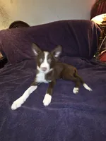 processed/493ec2c9-0e0a-4a20-9081-5ce0587fbdf9/listing/db752a19-60e6-4be1-9d2e-2074376ec411/287cf05e-54a0-451f-bad0-c5cb53c64248