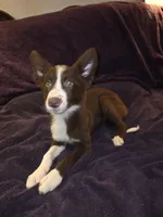 processed/493ec2c9-0e0a-4a20-9081-5ce0587fbdf9/listing/db752a19-60e6-4be1-9d2e-2074376ec411/72533ac5-d30f-446e-a14b-e466bbaed4db