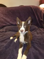 processed/493ec2c9-0e0a-4a20-9081-5ce0587fbdf9/listing/db752a19-60e6-4be1-9d2e-2074376ec411/a8d01e1f-0266-49a9-9c58-f1f49a0a0e01