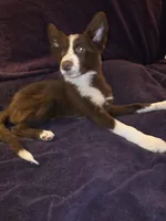 processed/493ec2c9-0e0a-4a20-9081-5ce0587fbdf9/listing/db752a19-60e6-4be1-9d2e-2074376ec411/fdae2c6c-05d0-4d93-ab0c-eab509932fa3