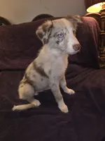 processed/493ec2c9-0e0a-4a20-9081-5ce0587fbdf9/listing/dedba5dc-0f14-4676-969c-8f73aab1f92a/9e7c6f6d-4c7d-42de-b35d-679b183eb1c9