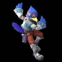 Falco, a male Poodle - Miniature  for sale in San Francisco, CA – Photo 2 of 2